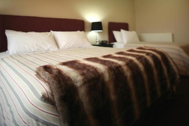Forest Lodge Methven Camera foto